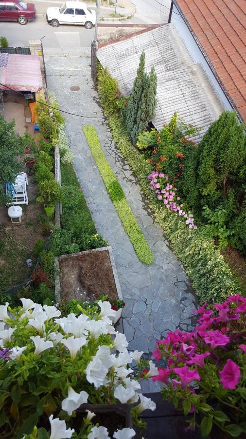 Vila Sentic Vranje Exterior foto